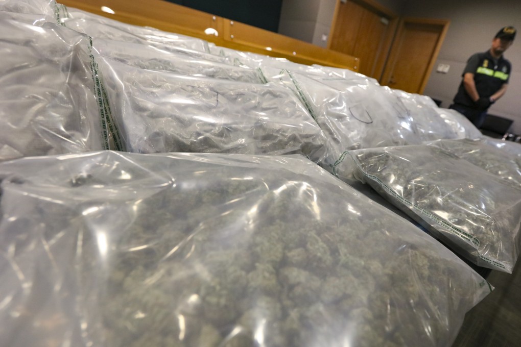 Customs officers arrested three men for smuggling 31kg of cannabis worth an estimated HK$21.5 million in 2017. Photo: Felix Wong