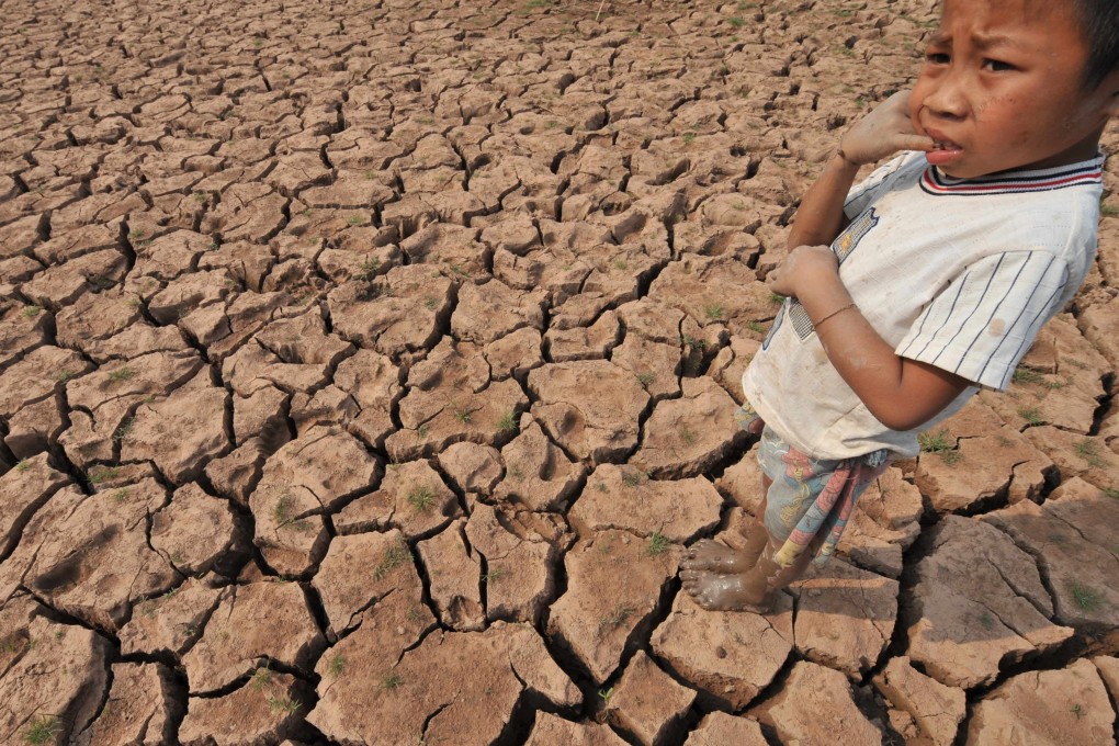 A farmer’s son at the family’s drought-hit rice field in Laos in 2010, when a severe drought in Southeast Asia and southern China caused the Mekong River to drop to a 50-year low. Photo: AFP