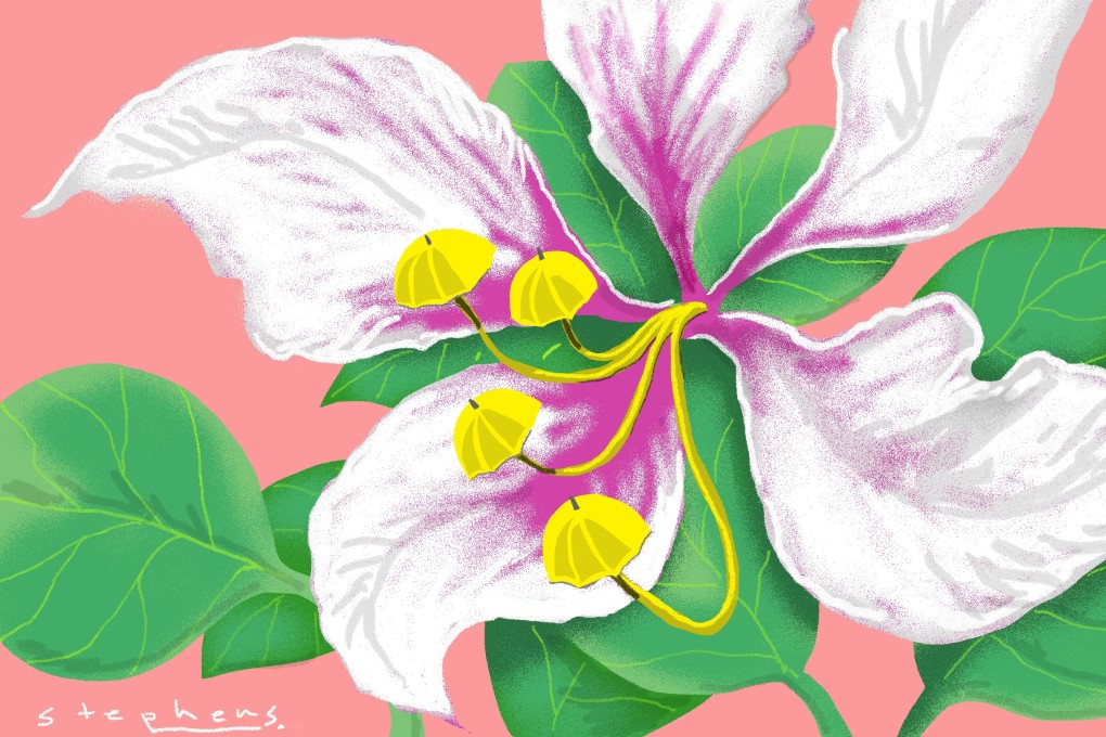 Illustration: Craig Stephens