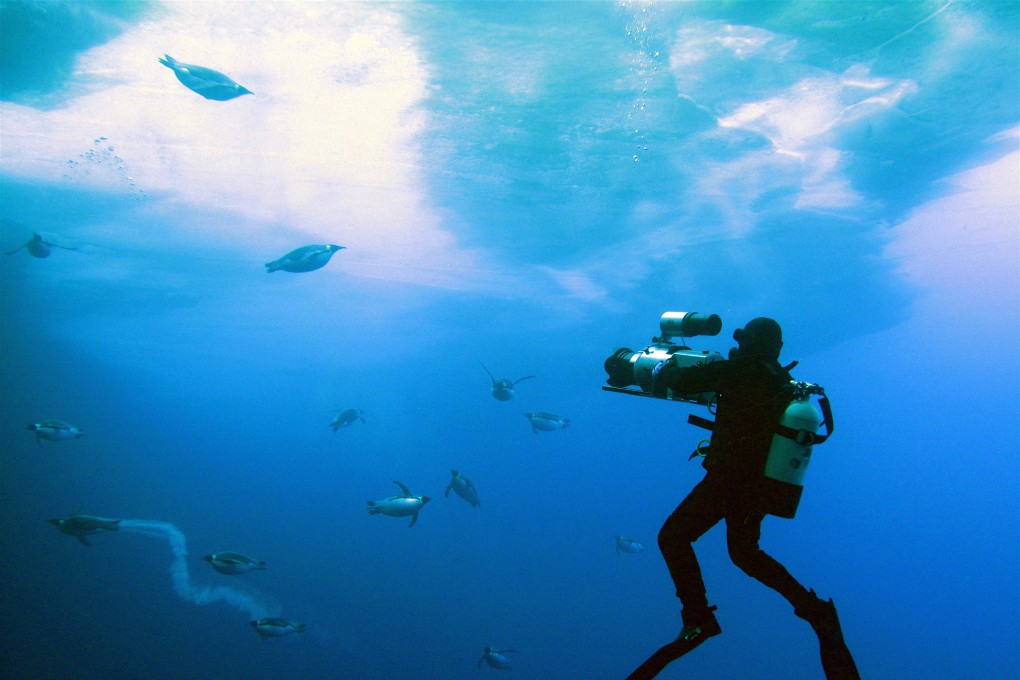 The Discovery Channel, the subscription pay TV service of Discovery, initially focused on documentary programming, such as this Discovery Channel/BBC joint production for ‘Frozen Planet’. Photo: AP Discovery Channel/BBC