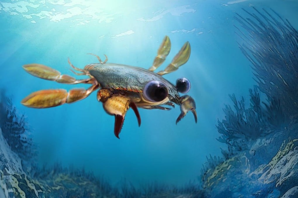 An artistic reconstruction of Callichimaera perplexa. Image: Oksana Vernygora/University of Alberta
