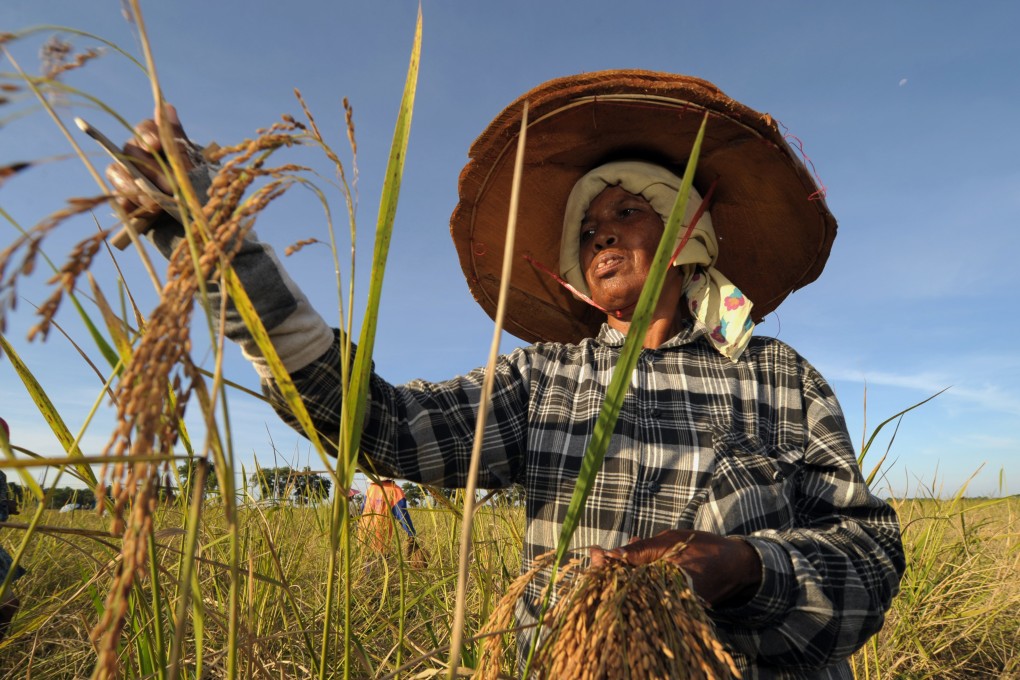 A Thai farmer harvesting rice, one of the country’s biggest exports. Thai exports, excluding a one-off item in February, have fallen for five straight months, according to TS Lombard. Photo: AFP