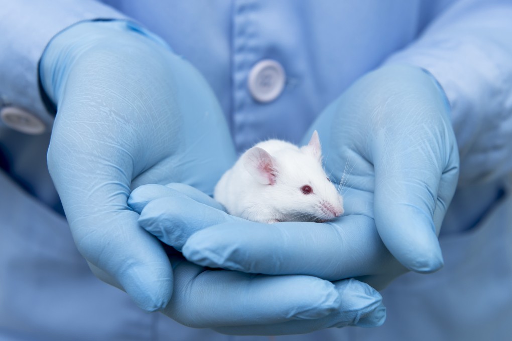 A laboratory researcher holds a mouse. Photo: Shutterstock
