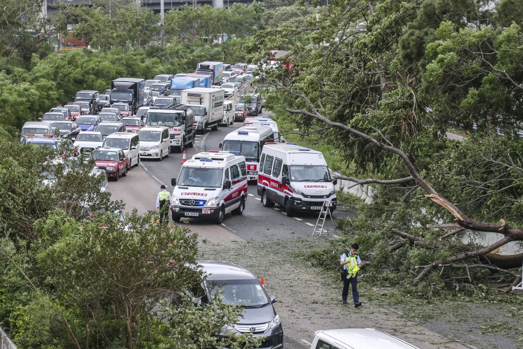 Fallen trees on Kwai Chung Road after Typhoon Mangkhut in September. Photo: Felix Wong