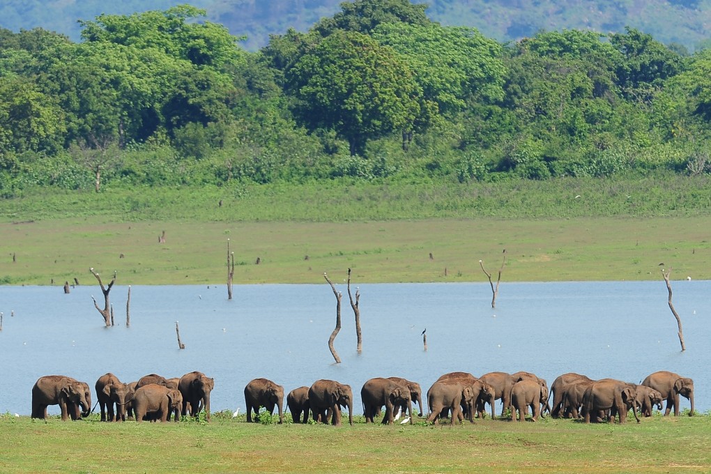 The Sri Lankan government had hoped to use the summit to present its biodiversity, including its wildlife parks with thousands of elephants. Photo: AFP