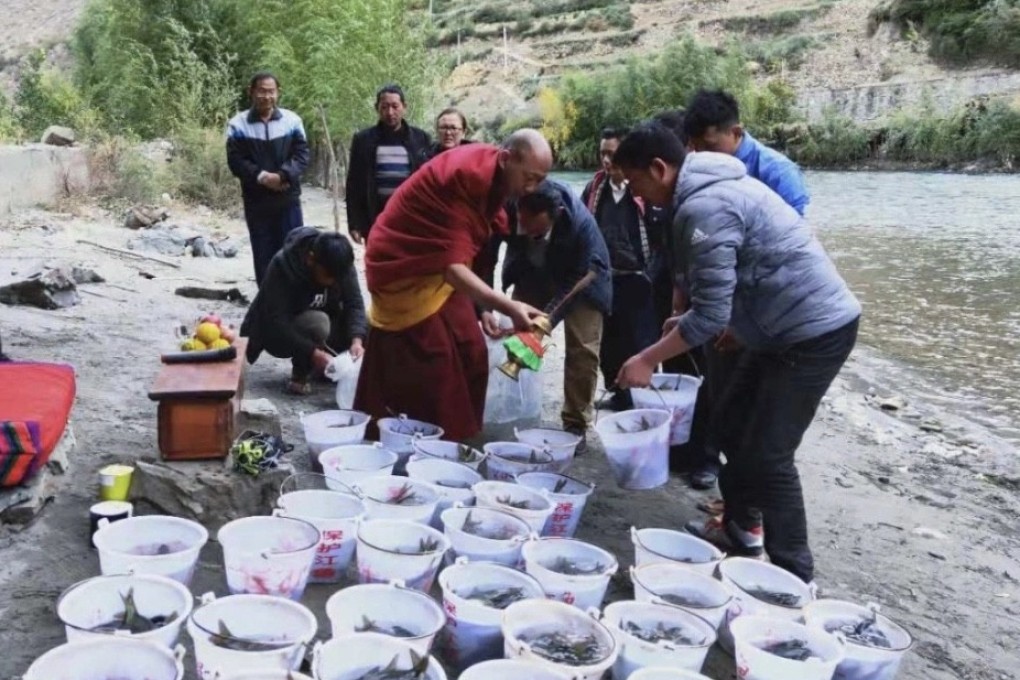 A conservation group in Yunnan province works with local Buddhists to help replenish fish stocks in the Yangtze River. Photo: Handout