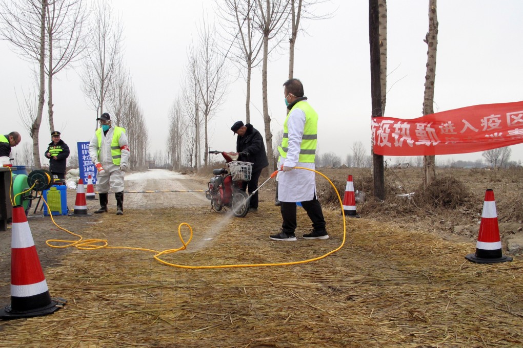 China is desperately struggling to fill a market gap that could see as many as 200 million pigs lost to disease or slaughter, according to a study from Rabobank. Photo: Reuters