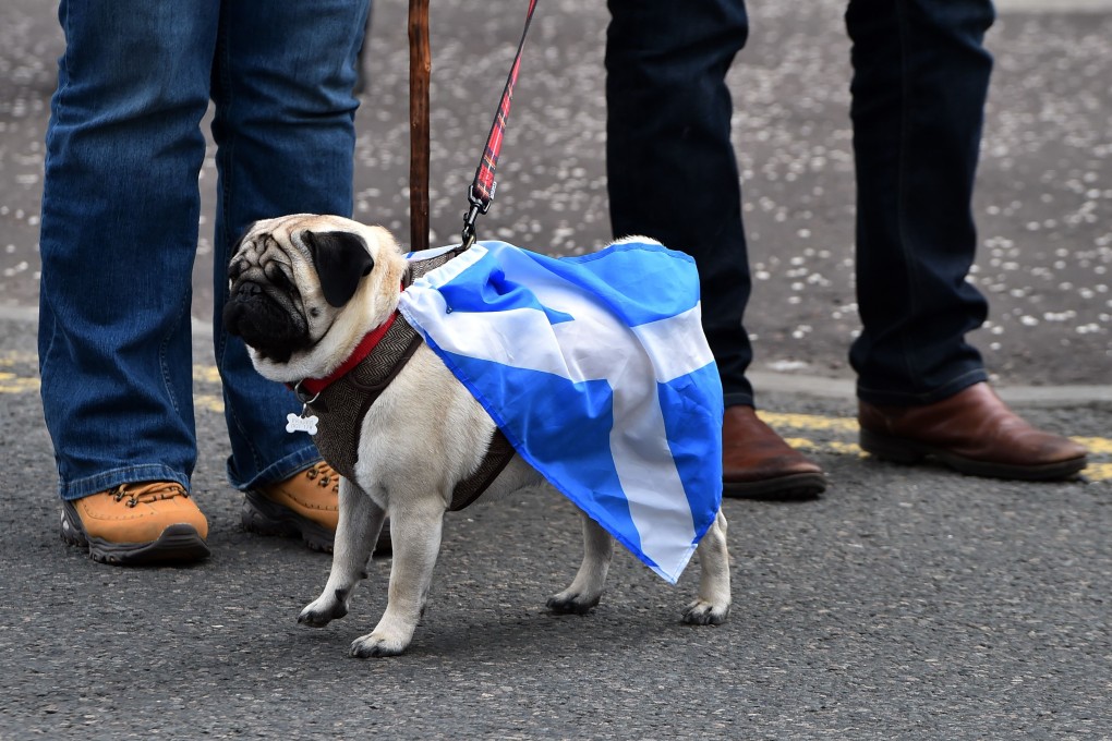 Some pro-independence activists took their dogs. Photo: AFP