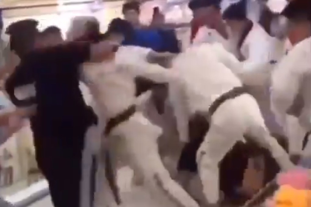 Gym workers fight with members of a taekwondo school at a mall in Jiangsu. Photos: Instagram/@mcdojolife