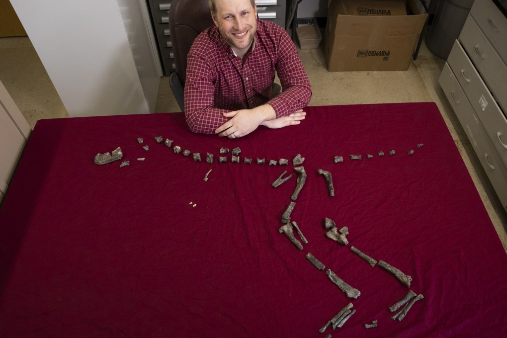 Sterling Nesbitt, an assistant professor of geobiology at Virginia Tech, sits for a photo next to the fossilised bones of Suskityrannus hazelae in March. Photo: Erin Williams/Virginia Tech via AP