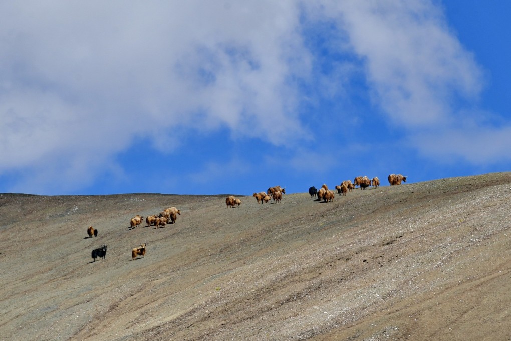 The Qiangtang Nature Reserve is one of the most isolated and remote parts of China. Photo: Xinhua