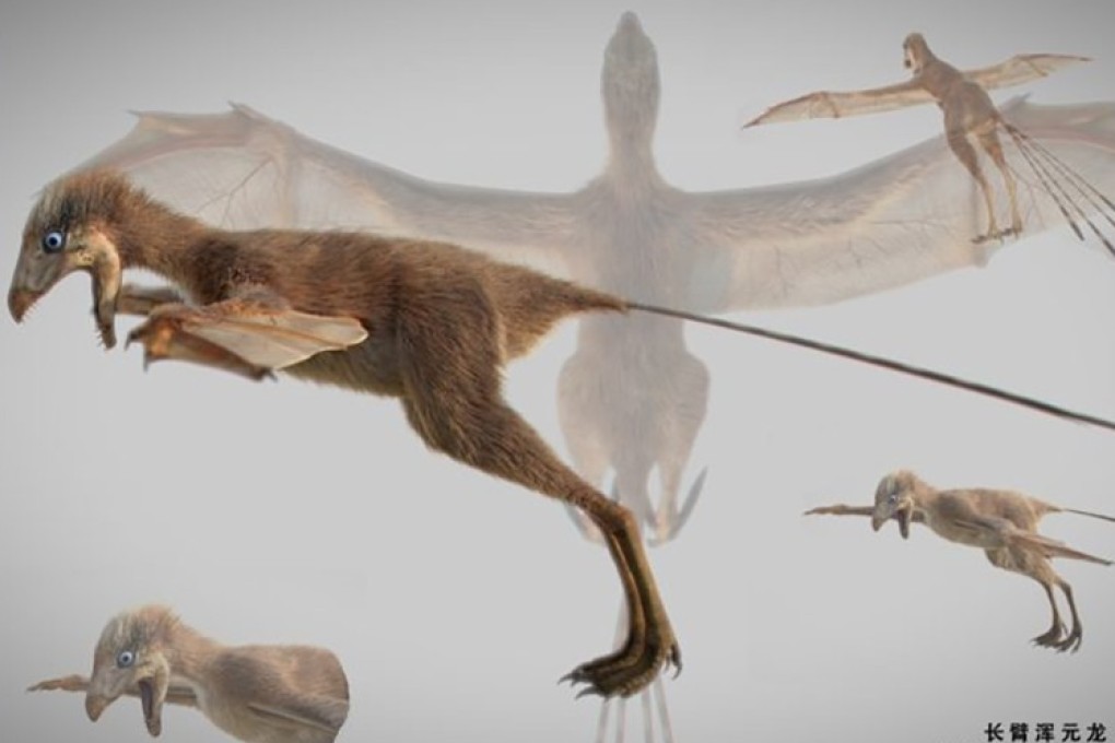 A small, tree-climbing dinosaur discovered in China has overturned evolutionary history with its cape-like membrane. Photo: Handout