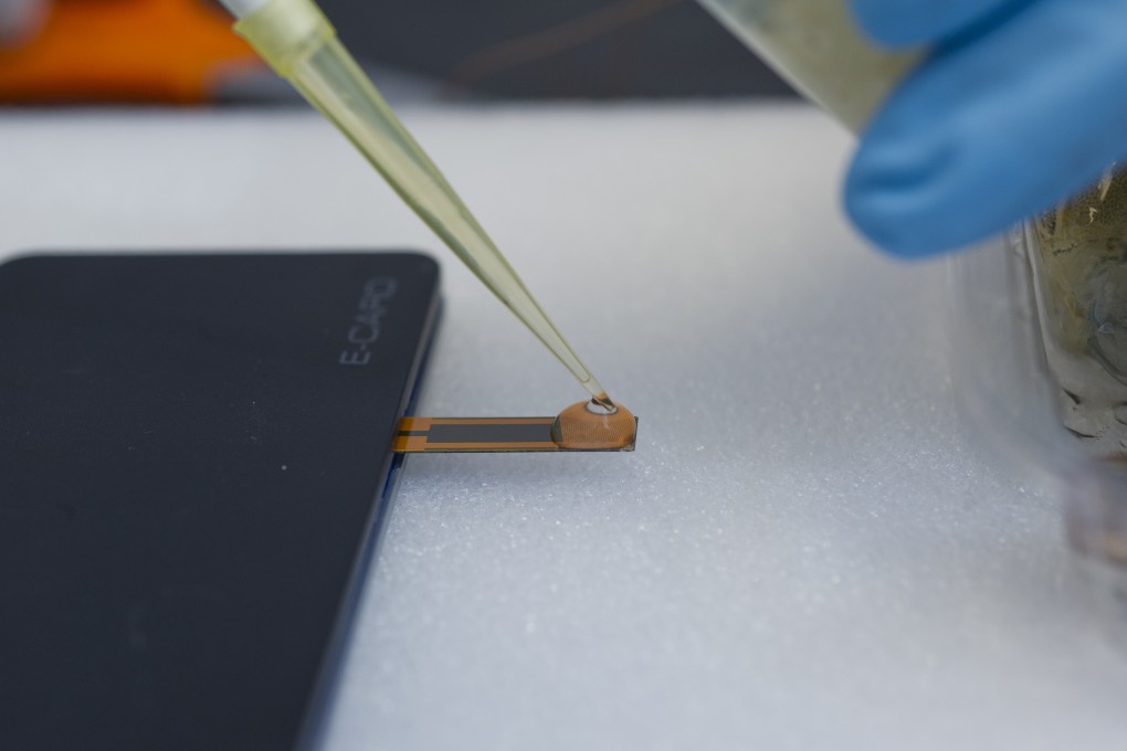 Handy sensor enhances food safety