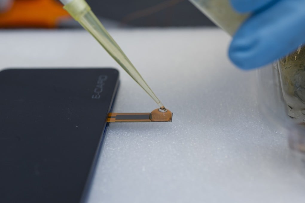 Handy sensor enhances food safety