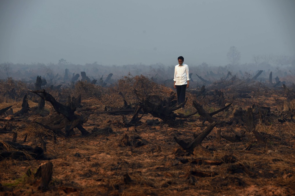 Indonesian President Joko Widodo inspects a peatland clearing that was engulfed by fire in Banjar Baru in Southern Kalimantan province, on Borneo island, on September 23, 2015. Photo: AFP