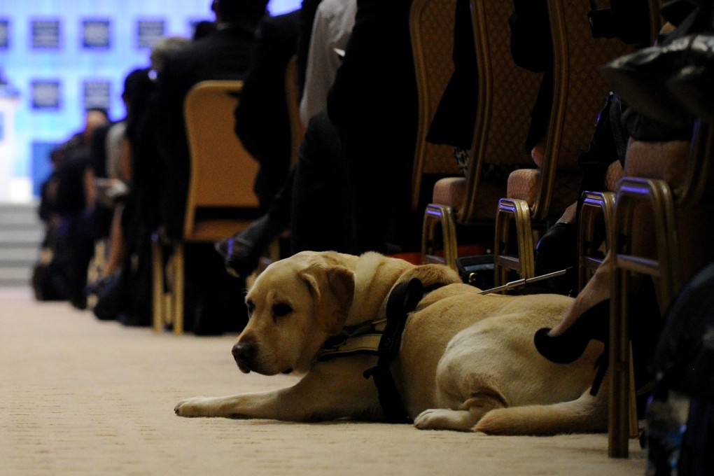 Lu Fu says she and her guide dog Evay often have problems on public transport. Photo: AFP