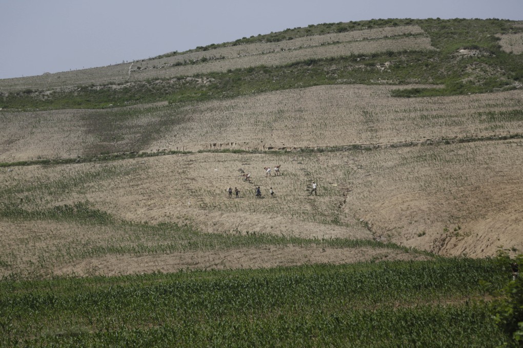 Farmers are dwarfed against a hill as they work in a corn field in South Hwanghae, North Korea. Photo: AP