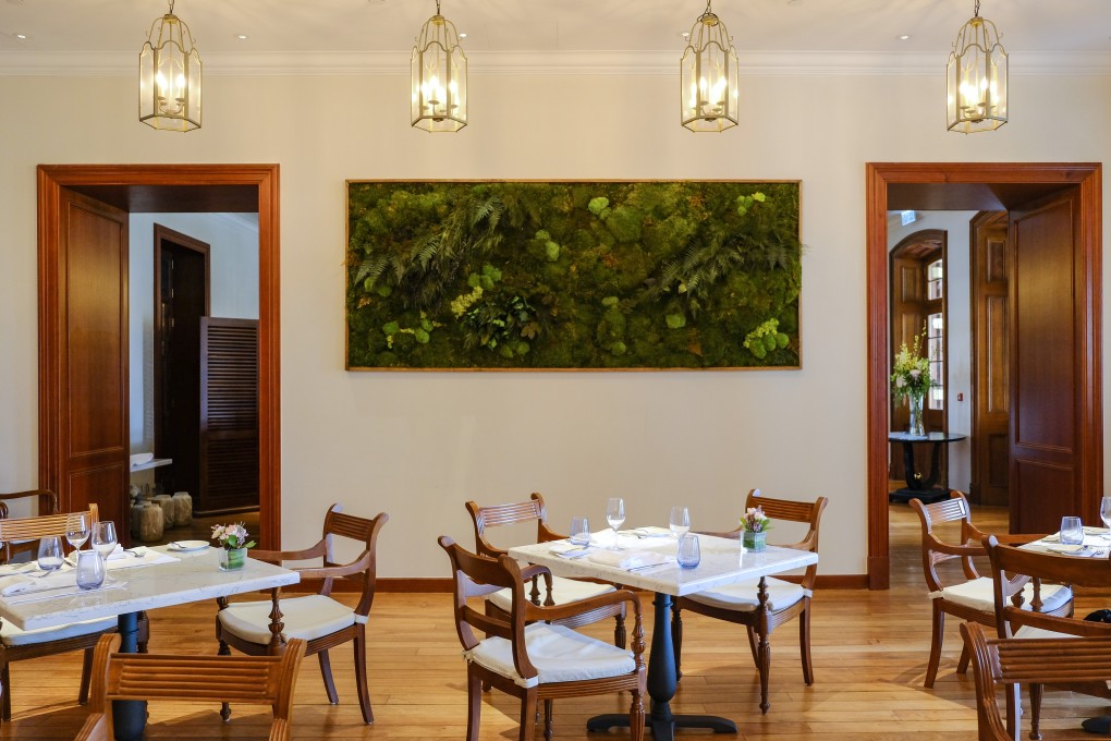 A preserved plant artwork seen at Parlour Cafe, at 1881 Heritage, in Hong Kong. Photo: Tory Ho