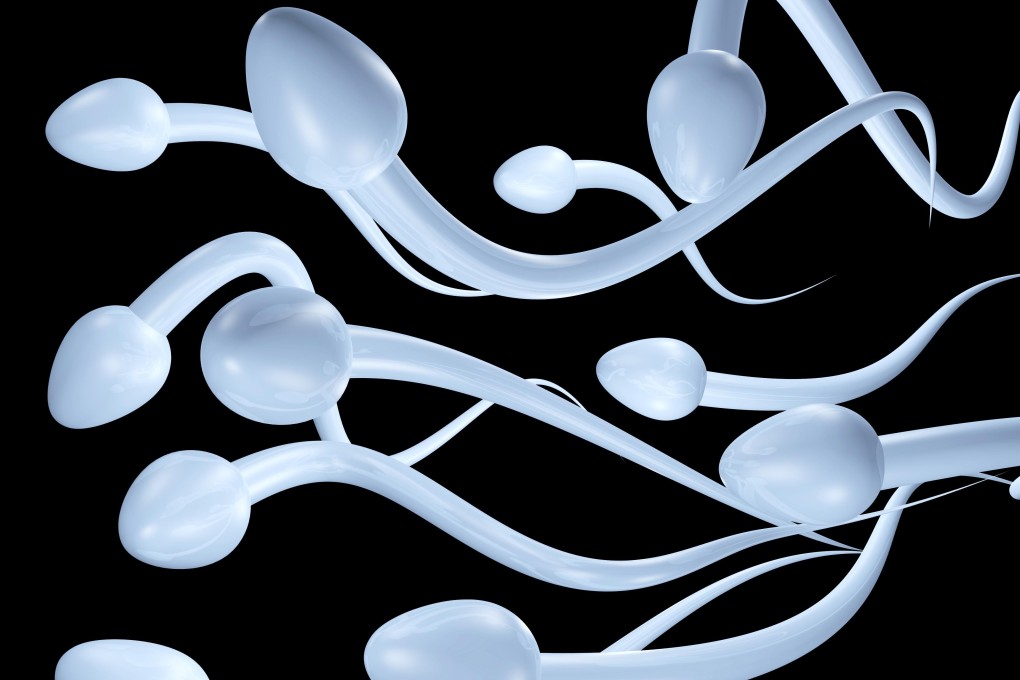 Men whose mothers reported at least three stressful events in the first trimester of their pregnancy had less, and weaker, sperm and lower testosterone levels than average, research in Australia has found. Photo: Alamy