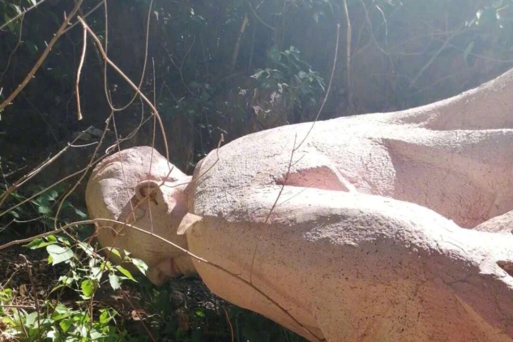 The photograph was widely circulated online, prompting a response from the local authorities. Photo: Weibo