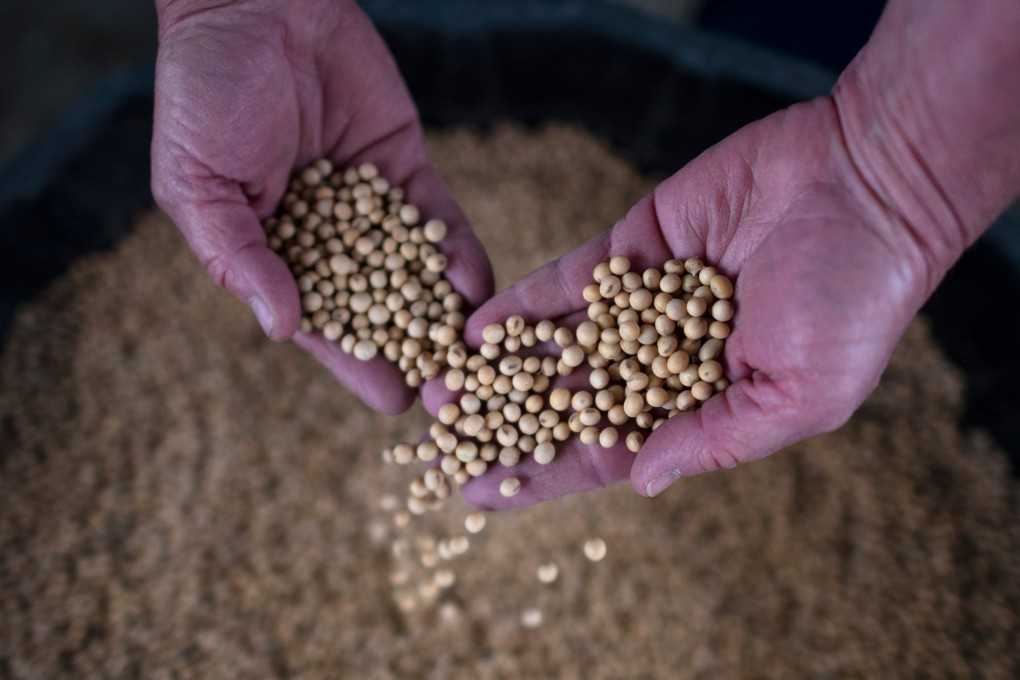 Russia’s largest food producer, which began shipping poultry products to China last month, is ready to begin supplying pork and soybeans to the world’s most populous nation. Photo: AFP