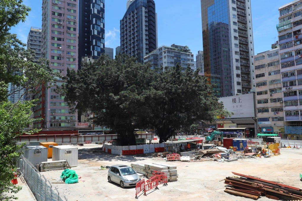 Banyan trees surrounded by construction waste at a demolition site of Argyle Street in Mong Kok. Photo: Edmond So