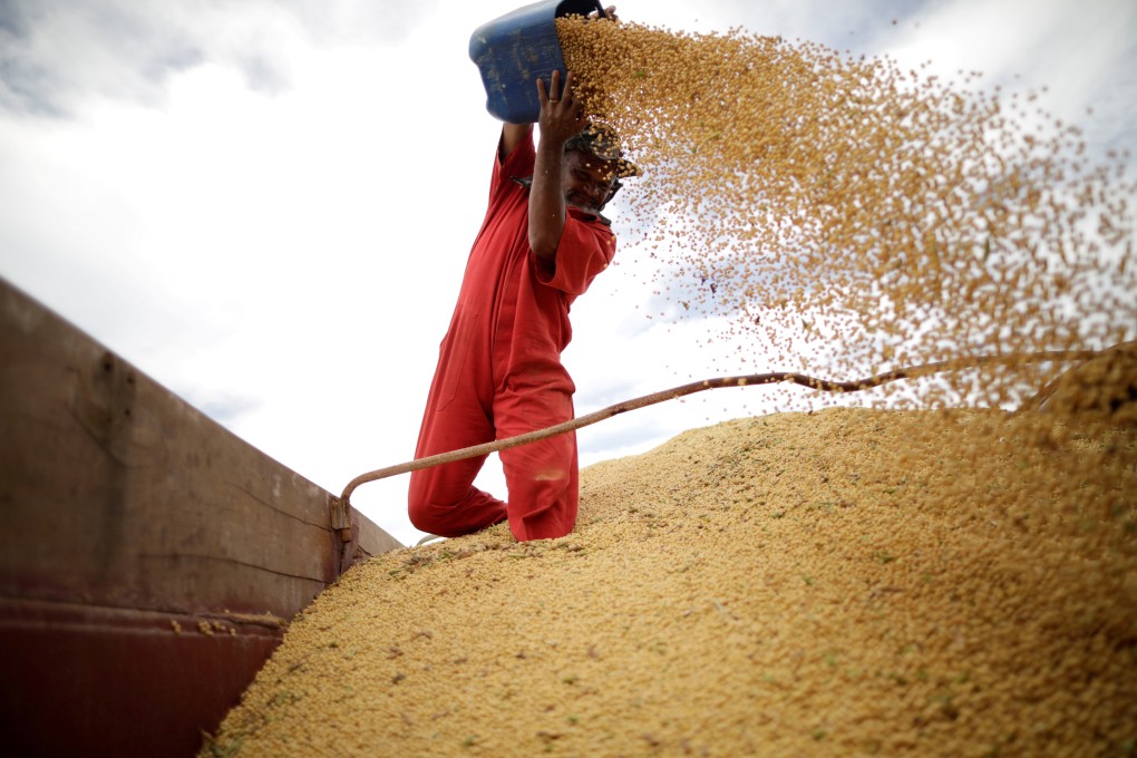 A worker inspects soybeans during the soy harvest near the town of Campos Lindos, Brazil. Brazil’s soy production took off as Japan sought to diversify its suppliers of the crop in the 1970s, and China is now benefiting from the South American country’s harvests as the trade war rages. Photo: Reuters