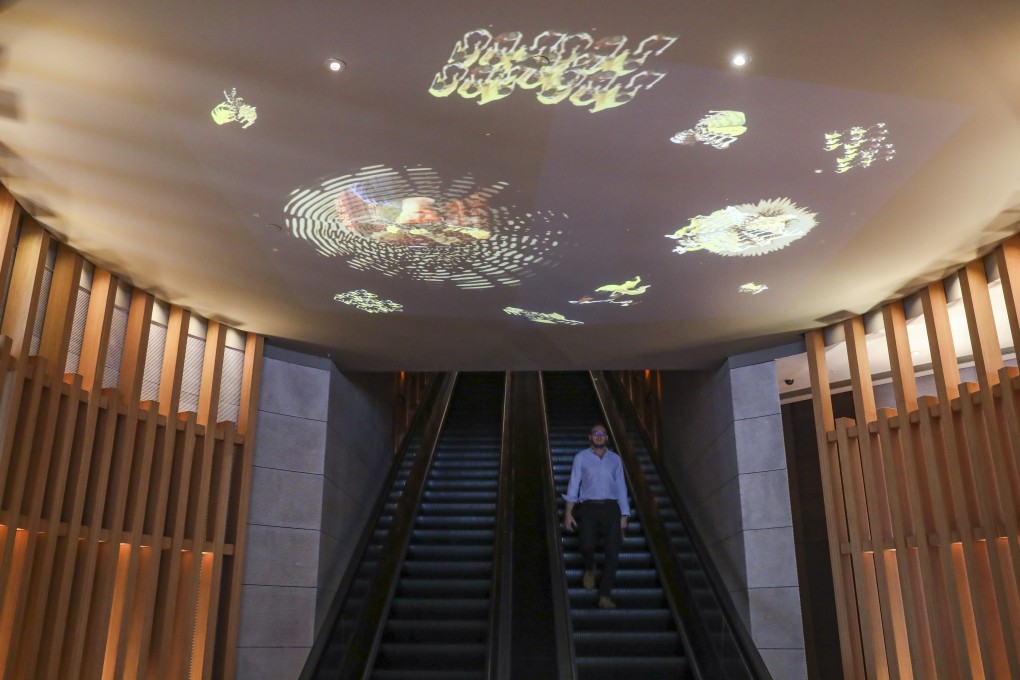 Seeds of Life is a video art installation by Katja Loher at Upper House in Central. It is one of five contemporary art exhibitions in Hong Kong this summer. Photo: K.Y. Cheng