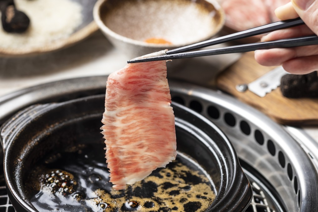 Shabu shabu with Hiyama Wagyu beef at Wagyu Vanne