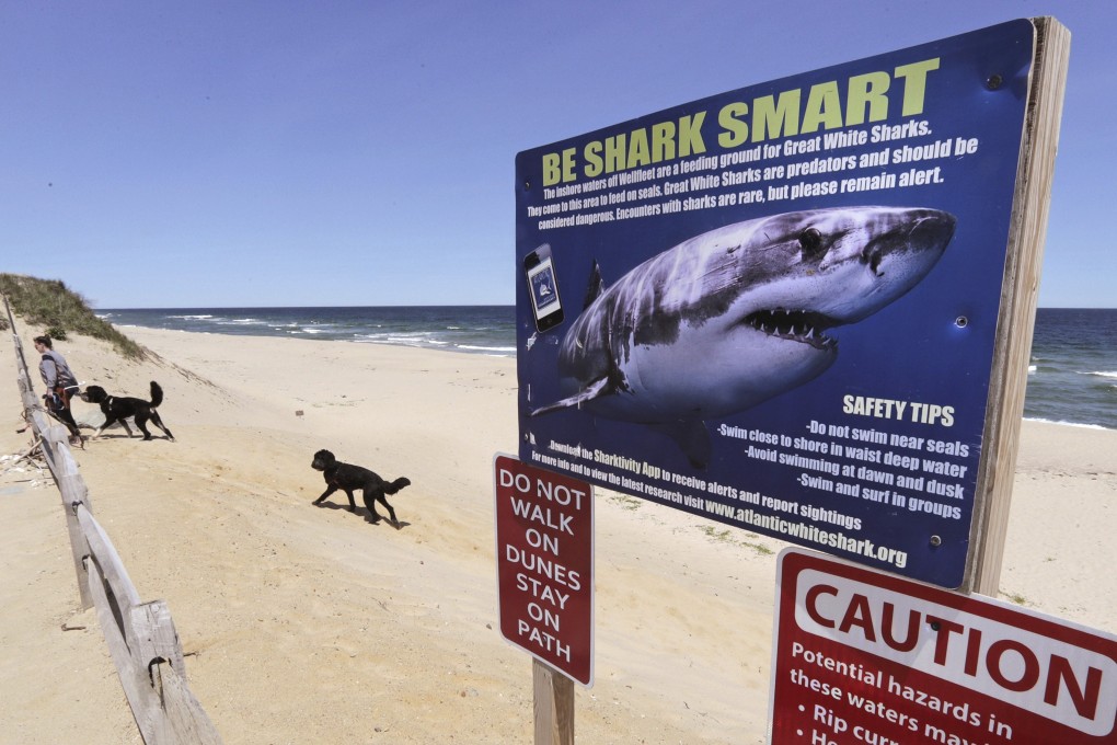 A woman walks with her dogs at Newcomb Hollow Beach, where a boogie boarder was bitten by a shark and later died of his injuries. Photo: AP