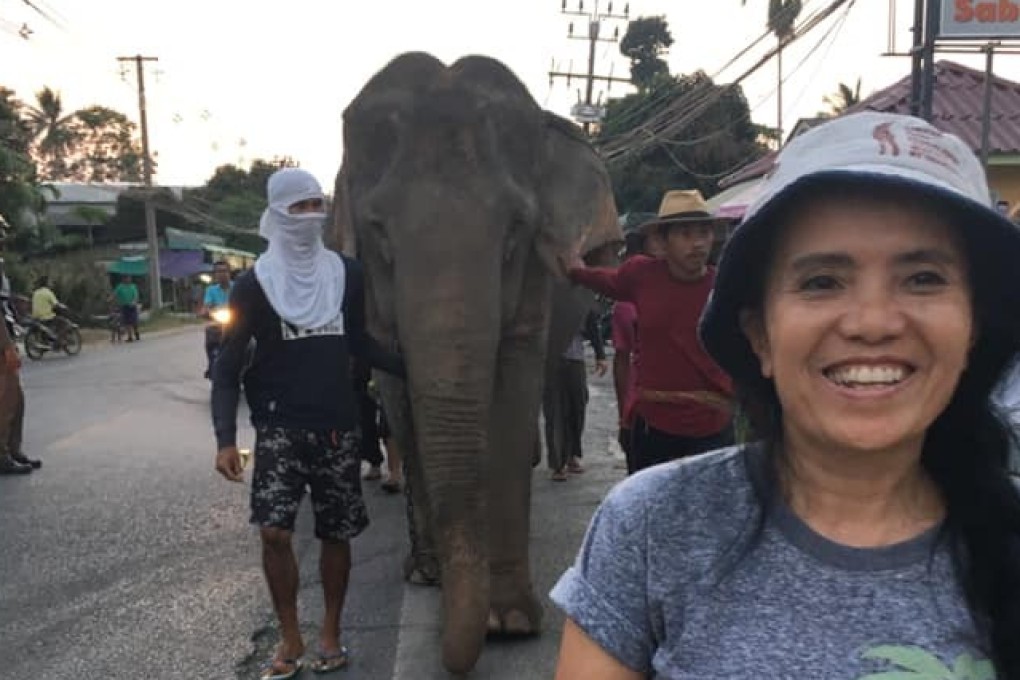 Lek Chailert (foreground) accompanies elephants Sri Nuan and Somboon on their walk to a sanctuary in Koh Samui, Thailand, that is their new home, their days of taking tourists on rides finally over. Charity World Animal Protection estimates 110 million people take part in wildlife tourism that involves cruelty every year. Photo: Barton Walsh