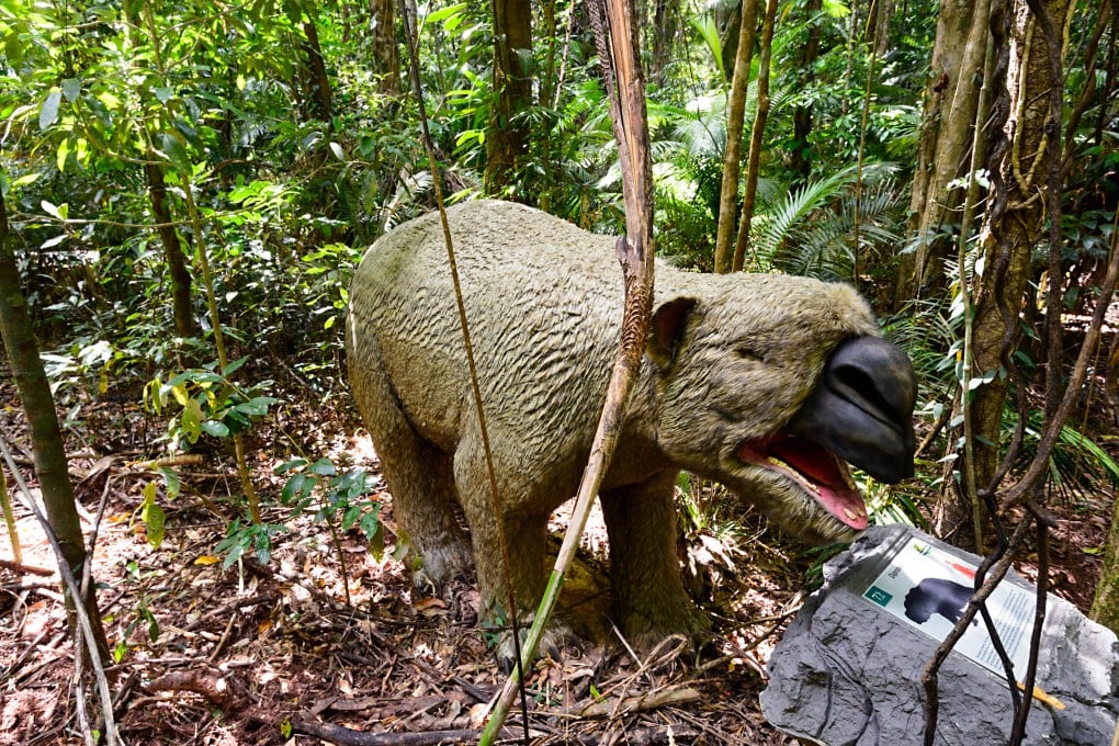 A giant wombat (Diprotodon optatum), extinct Australian megafauna in the Jurassic Forest park in Queensland. Photo: Alamy