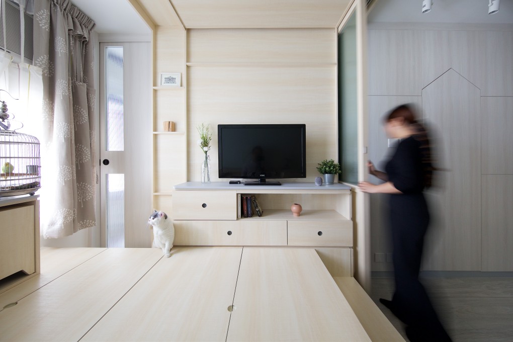 Pa the parrot and Meow the cat rule the roost in this flat in Yuen Long, Hong Kong. Photo: Patrick Lam