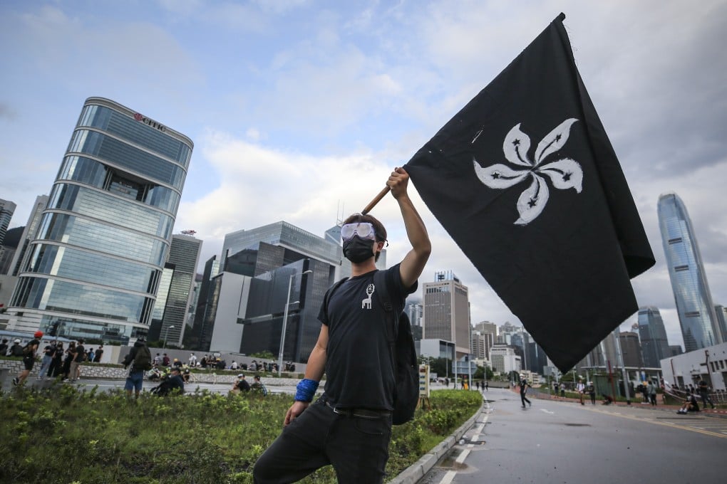 A protester holds up a black version of the Hong Kong bauhinia flag outside Legco on Monday. Photo: Winson Wong