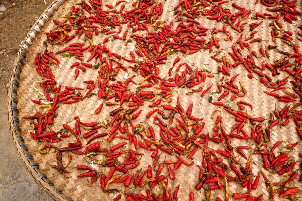 Chilli peppers dry in the Sichuan sun. Photo: Alamy