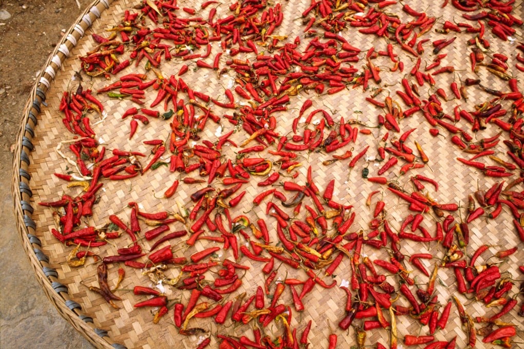 Chilli peppers dry in the Sichuan sun. Photo: Alamy