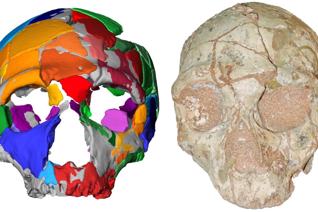 A reconstruction and computer model of part of a skull named Apidima 2, believed to be Neanderthal, released on Friday. Image: Eberhard Karls University of Tuebingen via AFP