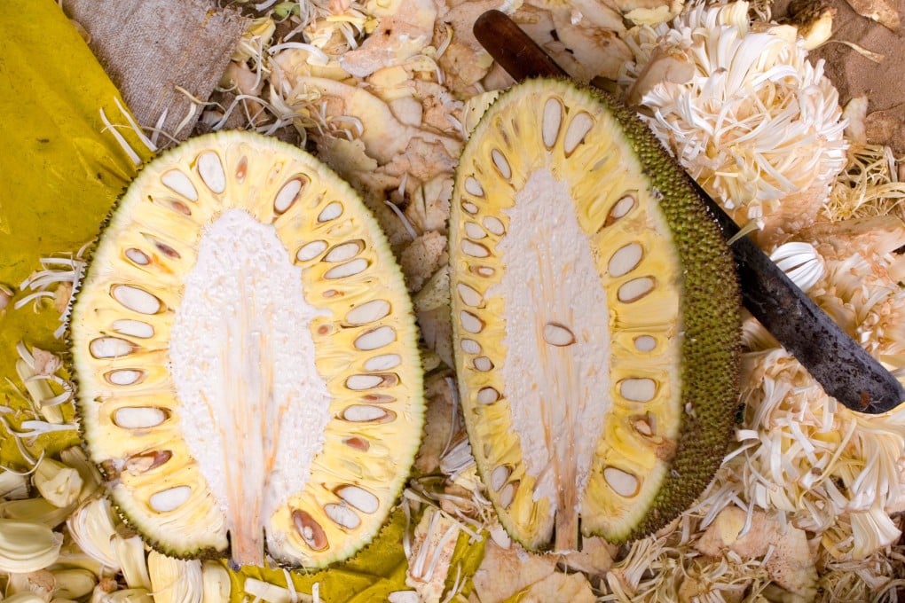 Jackfruit is more than just a trendy meat alternative. Research has shown it also has health benefits. Photo: Alamy