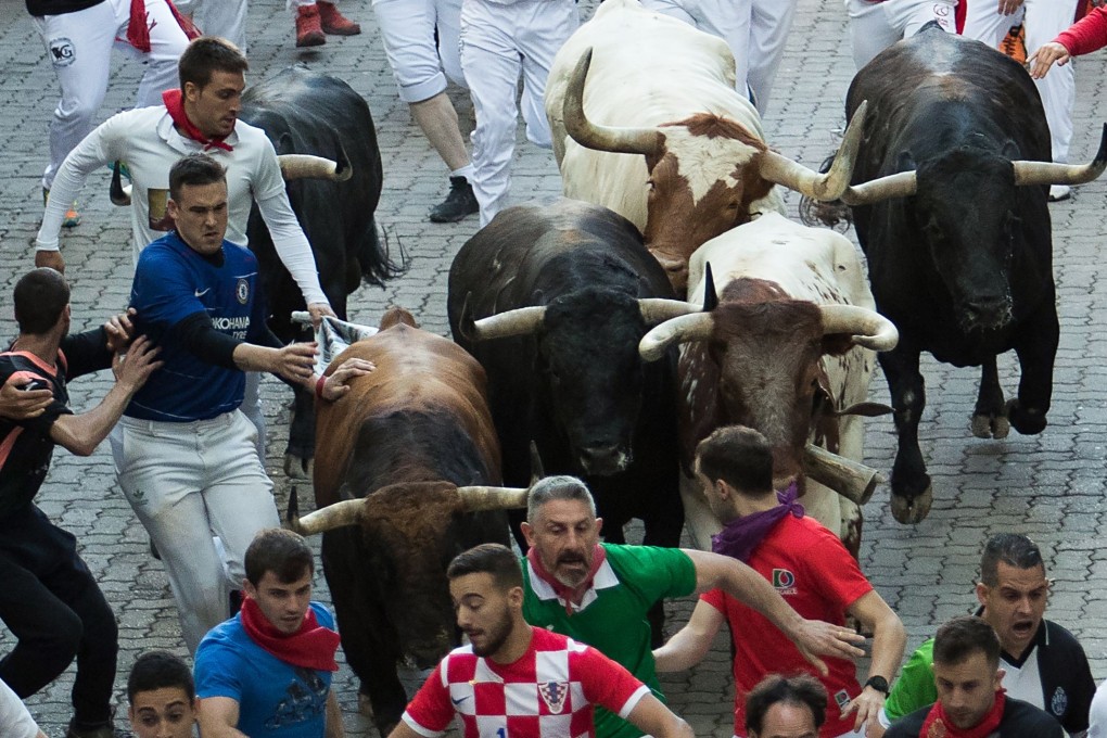 Watch out for the humans: participants run next to Palmosilla fighting bulls on the seventh bull run of the San Fermin festival in Pamplona. Photo: AFP
