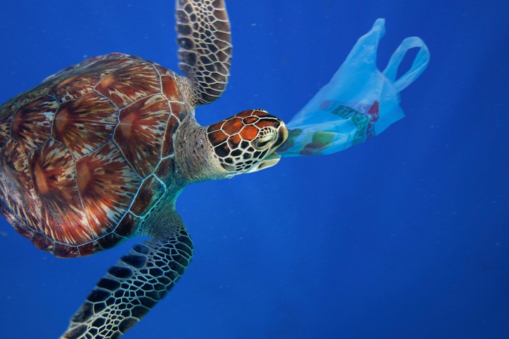 A sea turtle eating a plastic bag. Each year 100,000 marine mammals die from eating plastic, global conservation body WWF says. Some travel businesses are reducing their use of plastic bags and other plastic items. Photo: Alamy