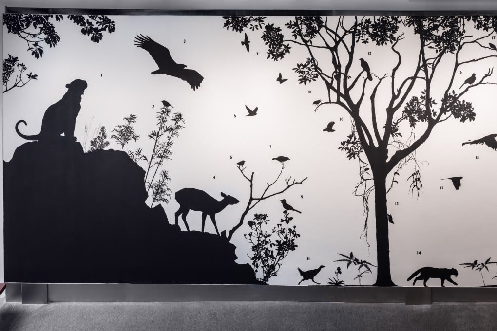To See The Forest by James Prosek on display at the Asia Society Hong Kong. Photo: courtesy of James Prosek