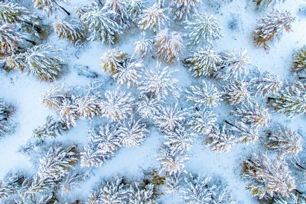 China from above: the Kanas Nature Reserve in Xinjiang province. Photo: Lyu Fengxiao