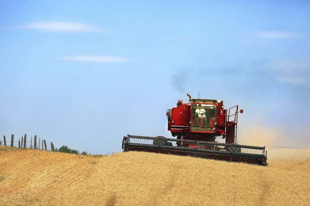 A red combine harvests wheat near the border of eastern Washington and Oregon in July 2013. Photo: AP