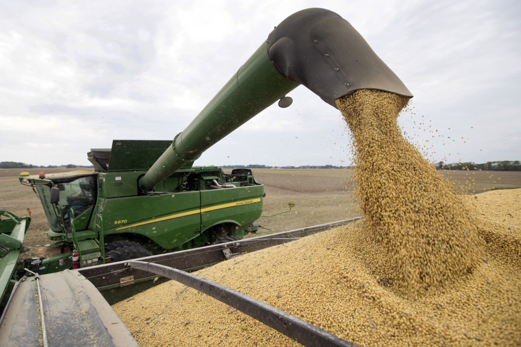 Chinese Customs data shows that In the first six months of the marketing year, between October 2018 and March 2019, China bought just 2.7 million metric tonnes of US soybeans. Photo: AP