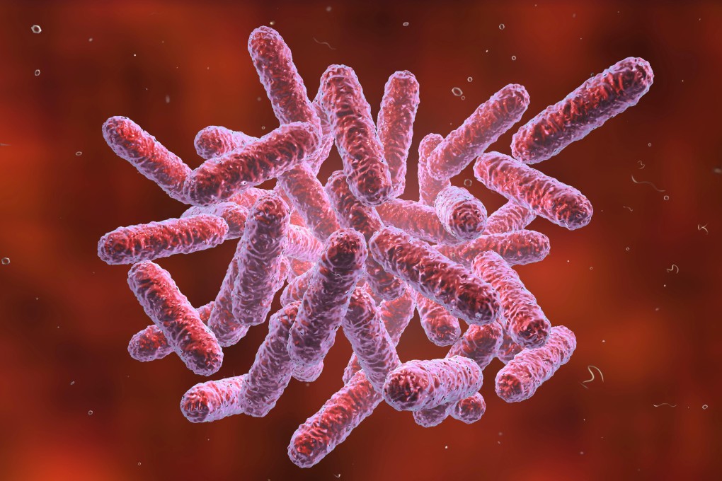 Scientists in Tianjin modified E coli to enable the germ to convert electrons into energy. Photo: Alamy