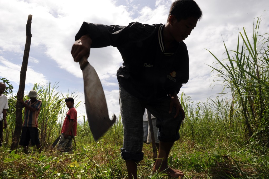 At least 164 farmers and land rights activists were killed worldwide last year, with the Philippines accounting for the most casualties. Photo: AFP