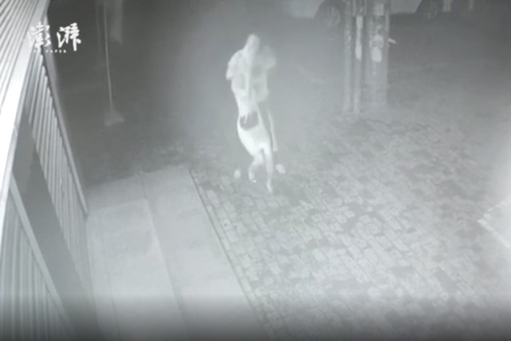 CCTV footage shows the woman being attacked near her hotel in the early hours of Saturday morning. Photo: Thepaper.cn