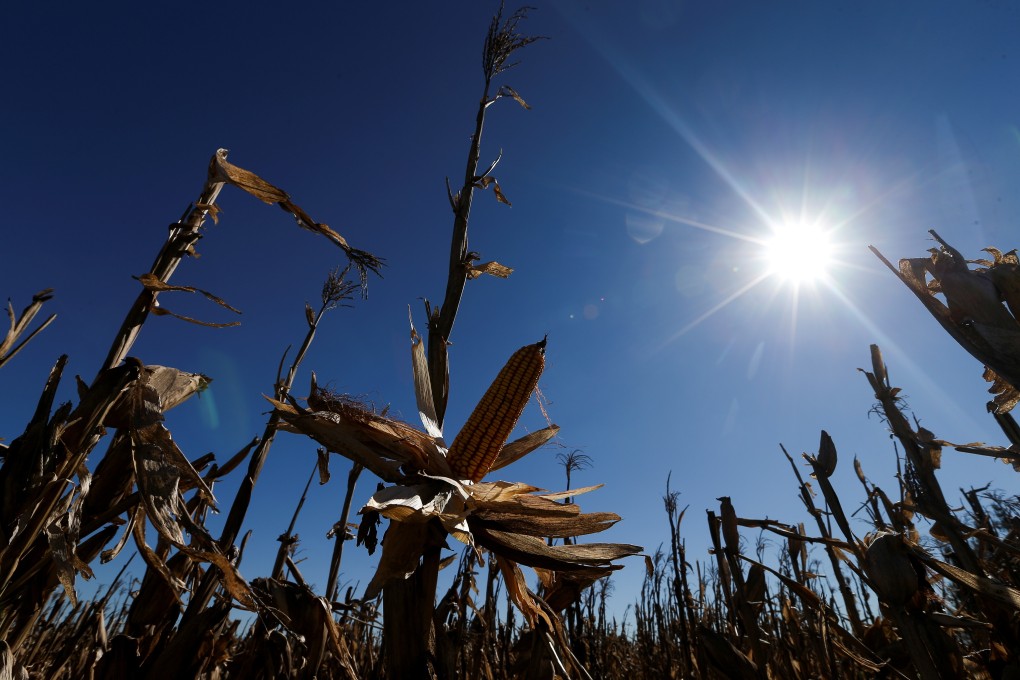 How land is managed will play a key role in limiting or accelerating the worst excesses of climate change. Photo: Reuters