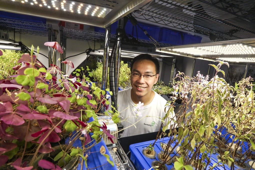 Farmacy grows vegetables and herbs hydroponically in Causeway Bay, and is trialling mobile farms. Co-founder Raymond Mak talks about cutting Hong Kong’s carbon footprint and delivering fresh produce. Photo: Jonathan Wong