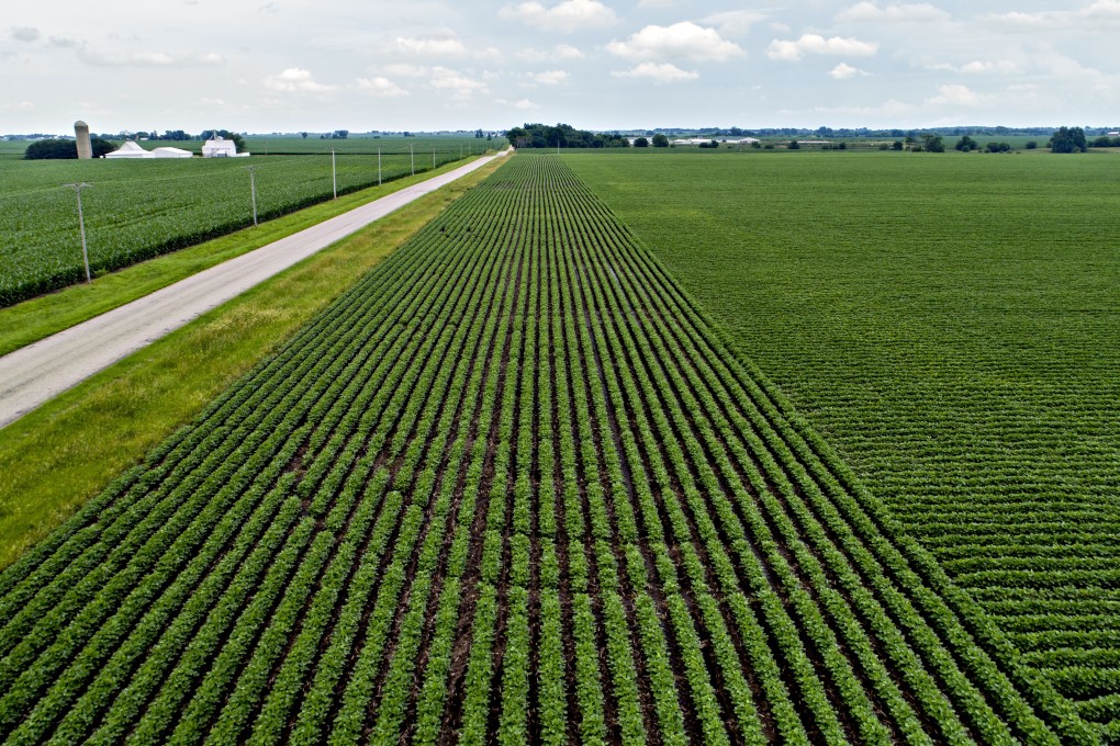 Chinese customs data showed that between October 2018 and March 2019, China bought just 2.7 million metric tonnes of US soybeans. Photo: Bloomberg